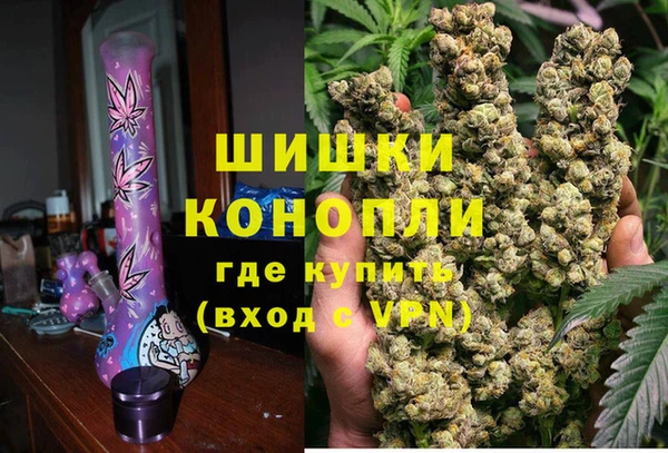 шишки Абинск