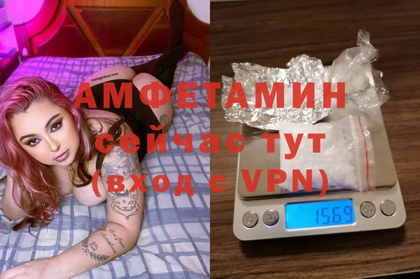 шишки Абинск