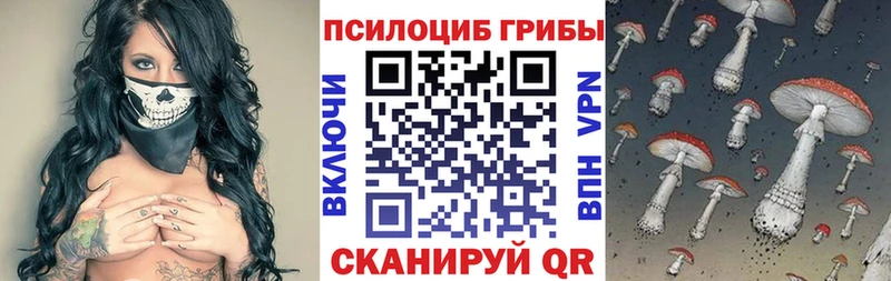 Галлюциногенные грибы Cubensis  Клинцы 